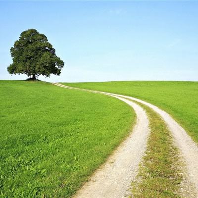 ag入口官网登录