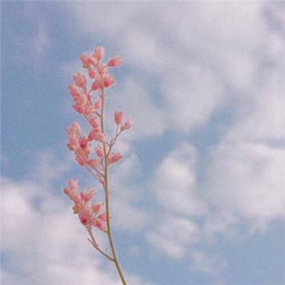 电子游戏bbin官方截图