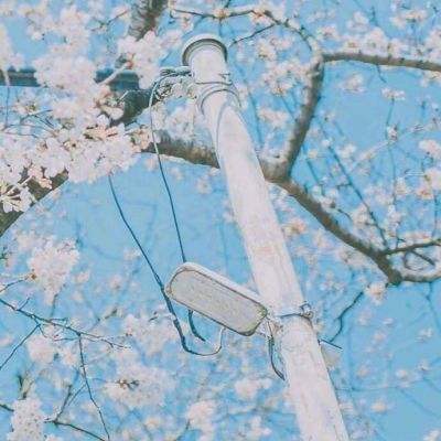 2023年新澳门今晚开特马手机app下载