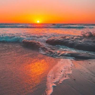 乐发lv彩票app下载安装