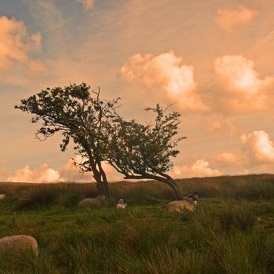 365体育官方唯一入口手机app下载截图