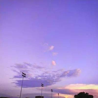 博鱼boyu体育官方网站