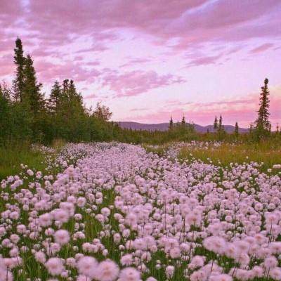 澳门银银河官方网welcome