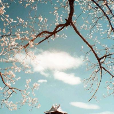 极速飞艇计划手机app下载