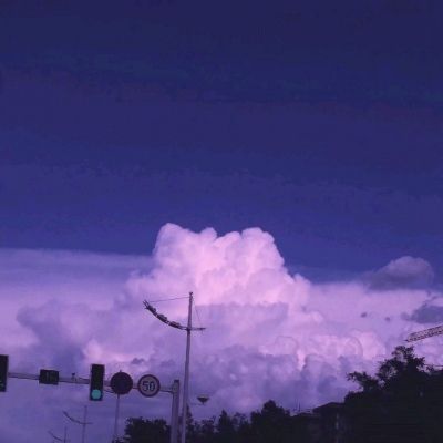 2023年新澳门今晚开特马手机app下载截图